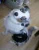 PIC_0011.jpg