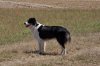 DSC_0277.jpg