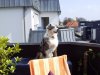 Pic00058-4.jpg