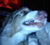 image.jpeg