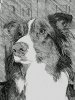 SketchGuru_20160304202823.jpg