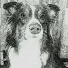 SketchGuru_20160304202539.jpg