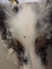 Image1462944658.085934.jpg
