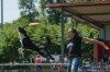20160508-_HAG4330 Kopie.jpg