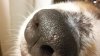 20180225_191623.jpg