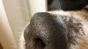 20180225_191708.jpg