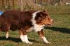 November2011 00366.jpg