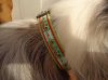 DSC00992.jpg