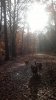 2012-11-19-1156.jpg