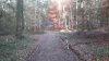 2012-11-19-1157.jpg