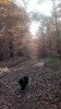 2012-11-19-1160.jpg