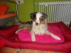 DSC01034.jpg