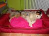 DSC01035.jpg