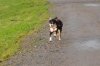 DSC_0042.jpg