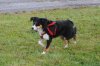 DSC_0073.jpg
