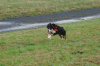 DSC_0100.jpg