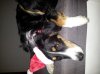 20121206_081824.jpg