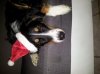 20121206_081851.jpg