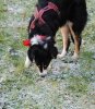 DSC_0055.jpg