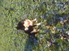 20121208_145410.jpg