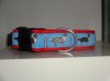 DSC01109.jpg