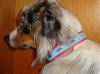 DSC01110.jpg