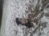 20121209_114224.jpg