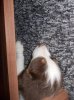 DSCN2098.jpg