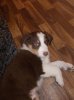 DSCN2103.jpg
