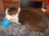 DSCN2107.jpg