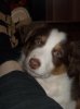 DSCN2154.jpg