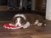 DSCN2160.jpg