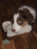 DSCN2215.jpg