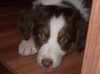 DSCN2223.jpg