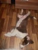 DSCN2361.jpg