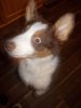 DSCN2390.jpg