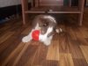 DSCN2408.jpg