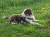 DSCN2599.jpg