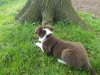 DSCN2597.jpg