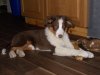 DSCN2613.jpg