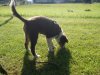 DSCN2680.jpg