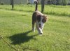 DSCN2683.jpg