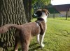 DSCN2684.jpg