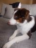 DSCN3122.jpg