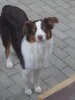 DSCN3140.jpg