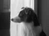 DSCN3144.jpg