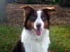 DSCN3469.jpg