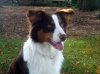 DSCN3470.jpg