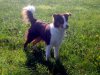 DSCN3422.jpg