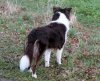 IMG_3573.jpg